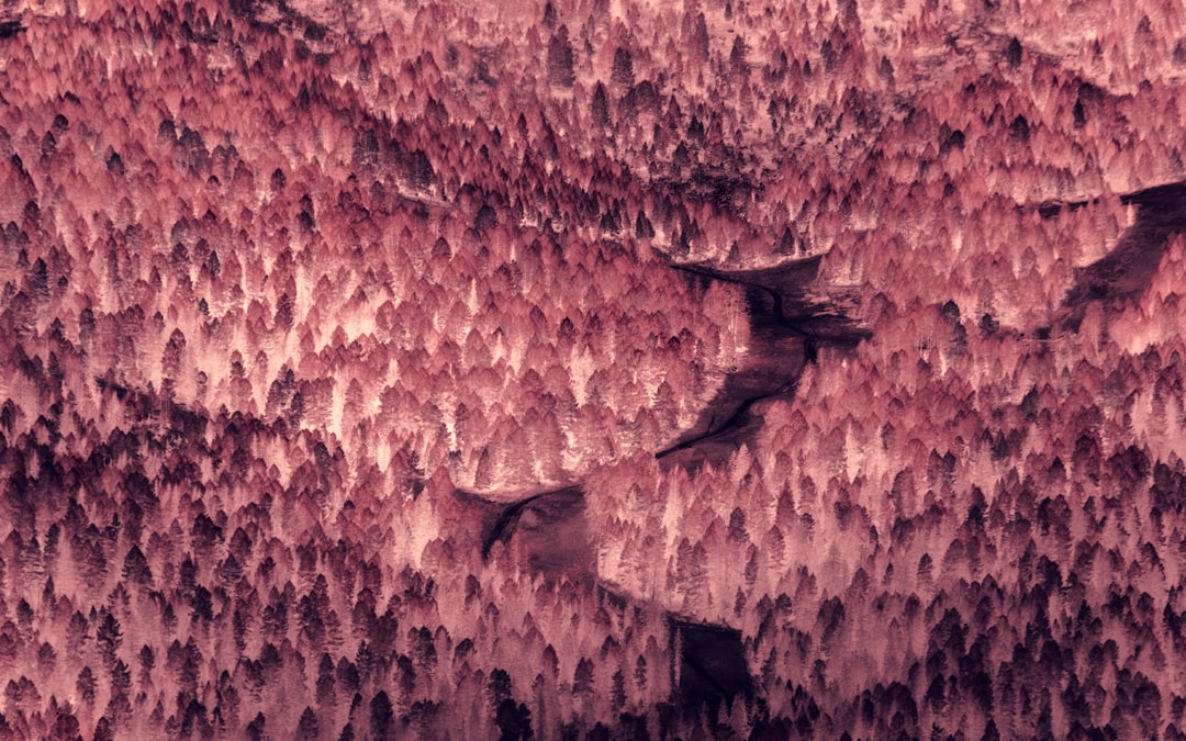 High-resolution macro shot of pink Himalayan salt crystals showing mineral striations