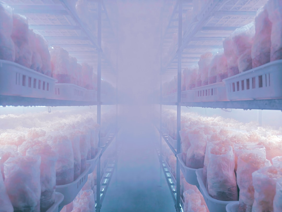 Salt in Food Preservation: Maintaining Freshness and Quality Globally